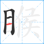 睺笔顺分解图片4