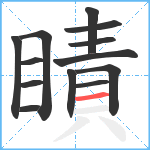 瞔笔顺分解图片13