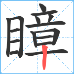 瞕笔顺分解图片16