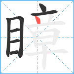 瞕笔顺分解图片8