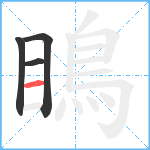 瞗笔顺分解图片4