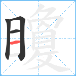 矎笔顺分解图片4