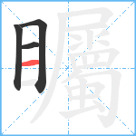 矚笔顺分解图片4