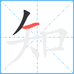 知笔顺分解图片2