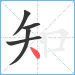 知笔顺分解图片5