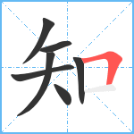 知笔顺分解图片7