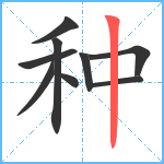 种笔顺分解图片9