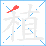 稙笔顺分解图片1