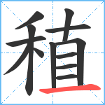 稙笔顺分解图片13