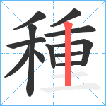 種笔顺分解图片12