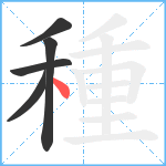 種笔顺分解图片5