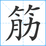 筋笔顺分解图片13