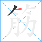 筋笔顺分解图片2