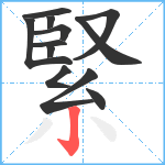 緊笔顺分解图片12