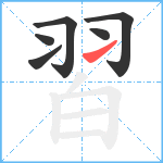 習笔顺分解图片6