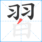 習笔顺分解图片7