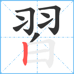 習笔顺分解图片8