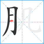 肌笔顺分解图片4