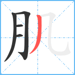 肌笔顺分解图片5