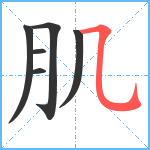 肌笔顺分解图片6