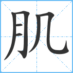 肌笔顺分解图片7