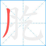 肐笔顺分解图片1