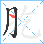 肐笔顺分解图片3