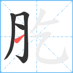 肐笔顺分解图片4