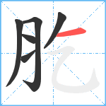 肐笔顺分解图片6