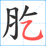 肐笔顺分解图片7