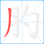 肑笔顺分解图片1