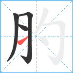 肑笔顺分解图片4