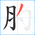 肑笔顺分解图片5