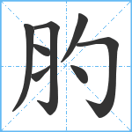 肑笔顺分解图片8