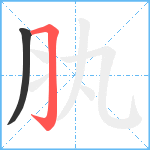 肒笔顺分解图片2