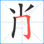 肖笔顺分解图片5