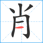 肖笔顺分解图片7