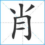 肖笔顺分解图片8