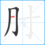 肘笔顺分解图片3