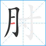 肘笔顺分解图片4