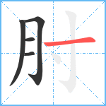 肘笔顺分解图片5