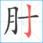 肘笔顺分解图片6