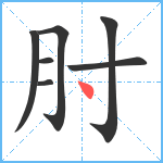 肘笔顺分解图片7