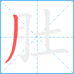 肚笔顺分解图片1