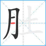 肚笔顺分解图片4