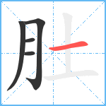 肚笔顺分解图片5