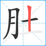 肚笔顺分解图片6