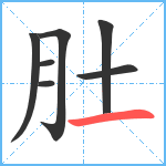 肚笔顺分解图片7