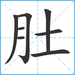 肚笔顺分解图片8