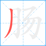 肠笔顺分解图片1